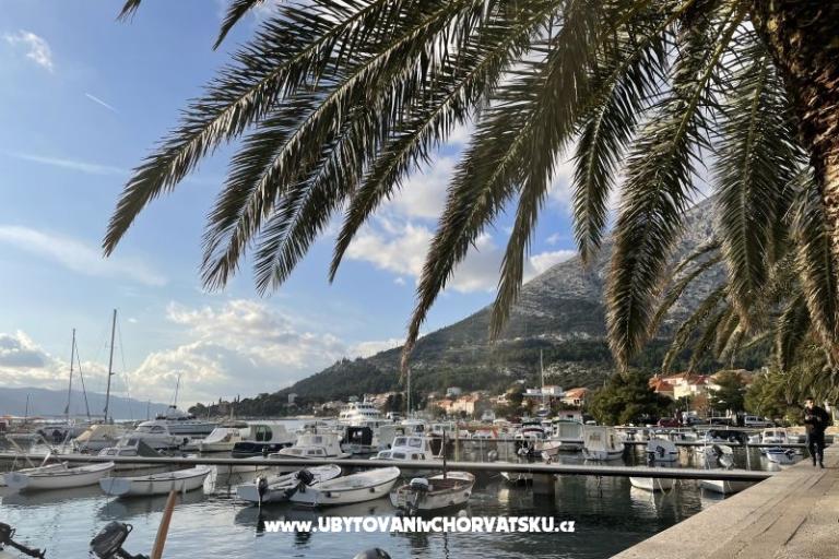 Appartementen  Ante – foto 22