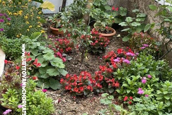 Appartementen  Ante – foto 26