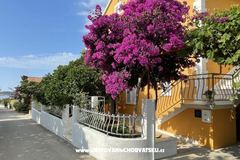 Appartementen  Ante – foto 8