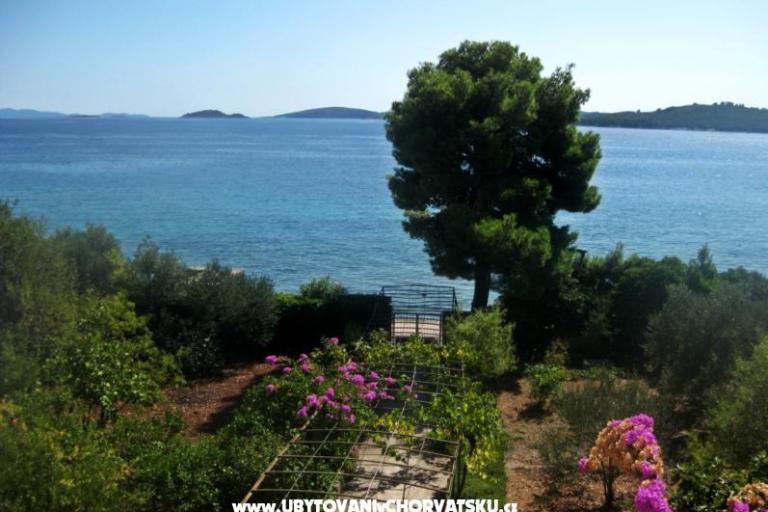 Appartementen Šurjak – foto 3