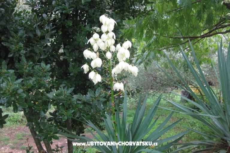 Appartementen Mratović – foto 17