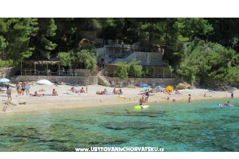 Kamperen &amp; Appartementen Vala – foto 13