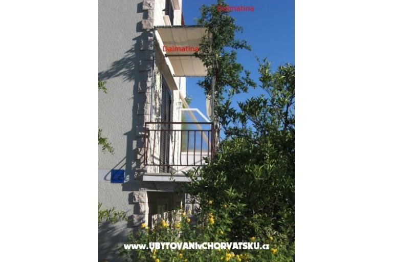 Dalmatina – foto 15