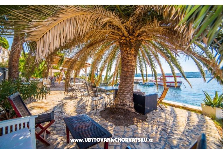 Pelješac Appartementen -Orsula  – foto 7