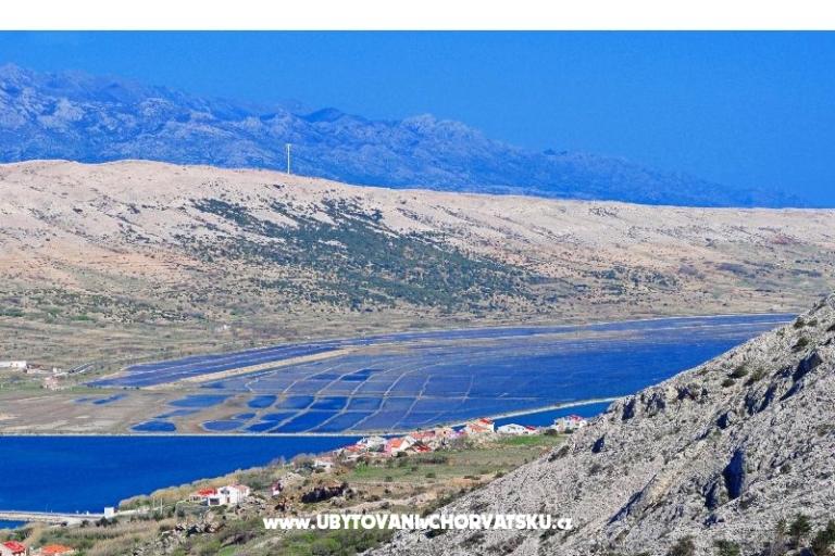 Appartementen Filip – foto 8