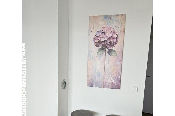 Appartementen Jonke – foto 14