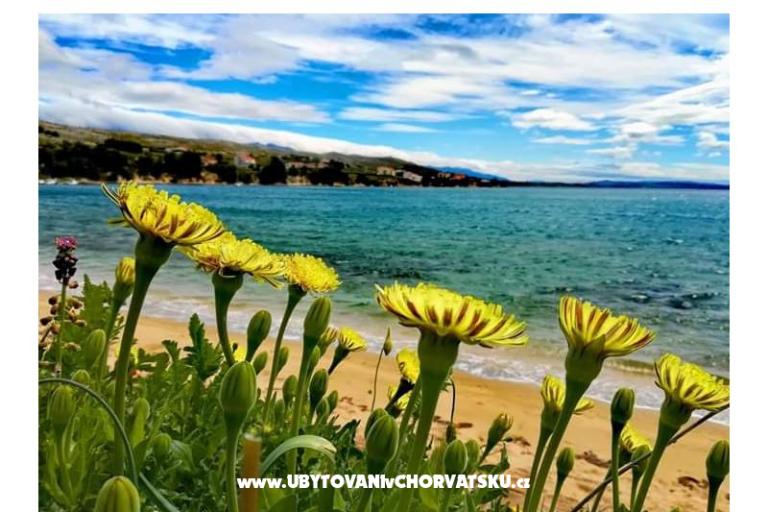 Appartementen Marijana Mandre – foto 20