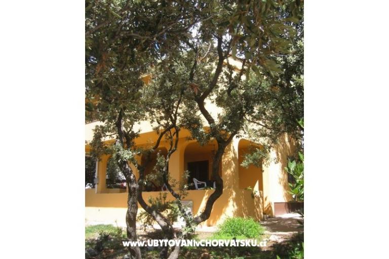 Appartementen Marijana Mandre – foto 3