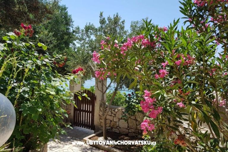 Appartementen Milena i Robert – foto 2