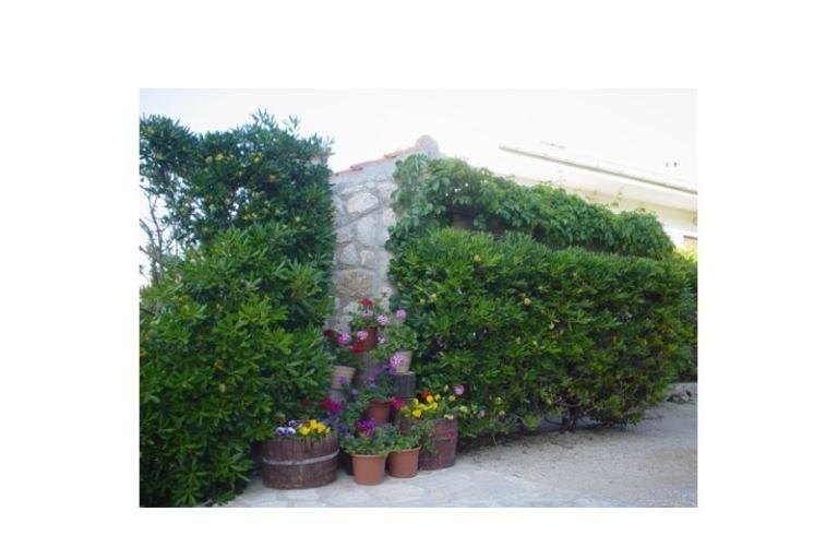 Appartementen Pag – foto 10