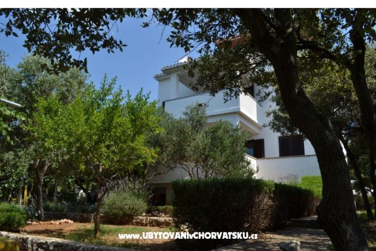 Appartementen Salvia island Pag Mandre – foto 14