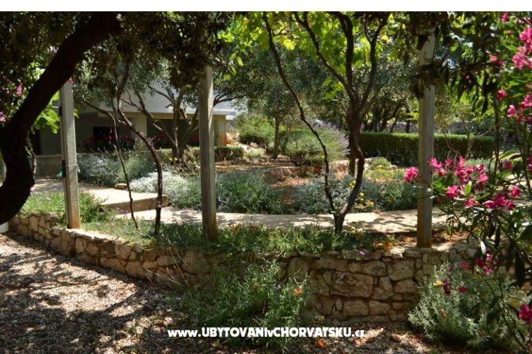 Appartementen Salvia island Pag Mandre – foto 15