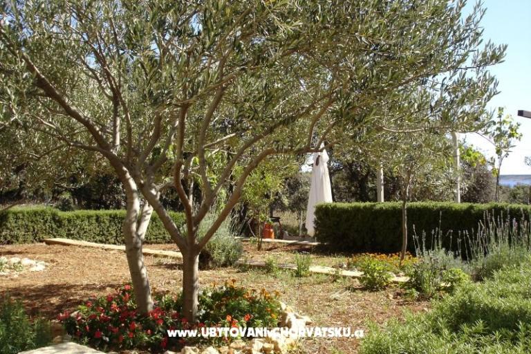 Appartementen Salvia island Pag Mandre – foto 18
