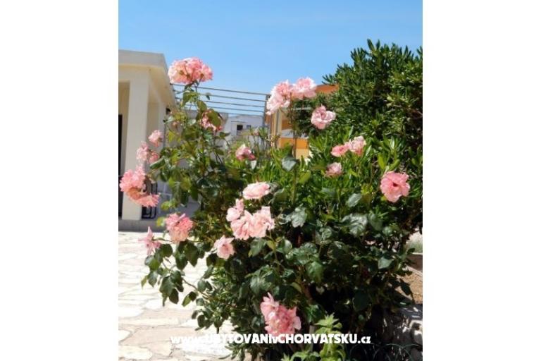 Appartementen Valentić – foto 9