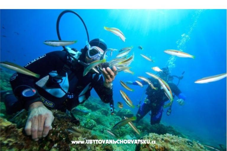 Appartementen Vinko – foto 17