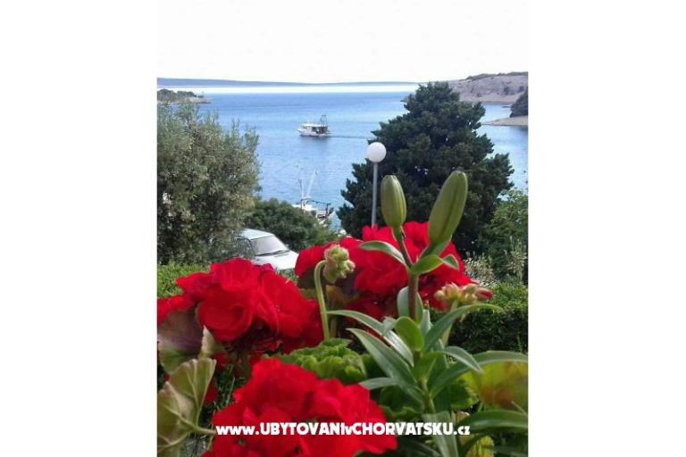 Appartementen Zeljka – foto 16