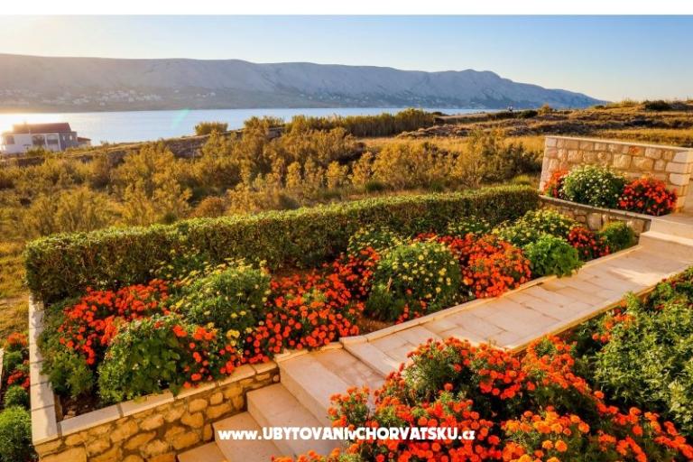 Appartementen Fabijanic – foto 6