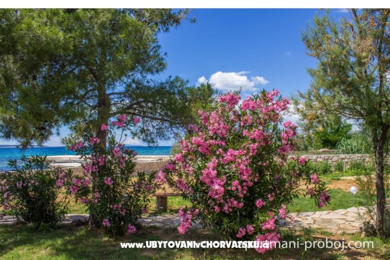 Appartementen Proboj – foto 16
