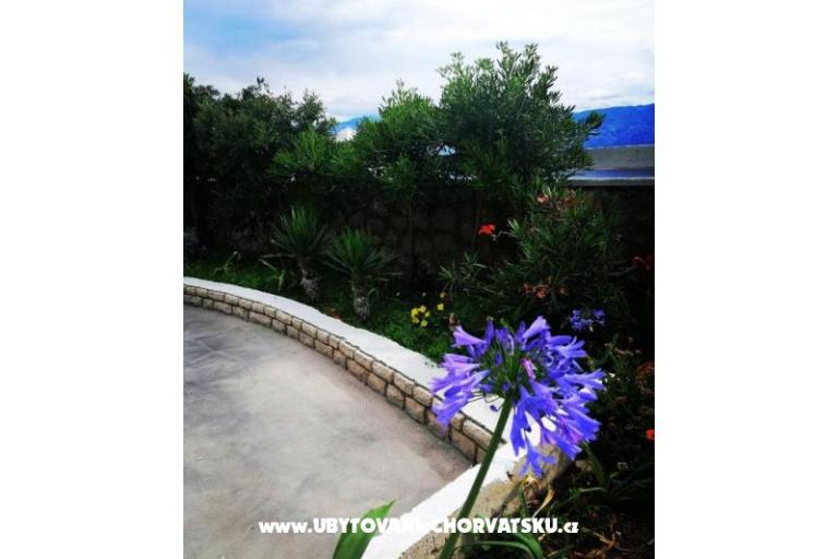 Family Appartementen K&amp;M – foto 15