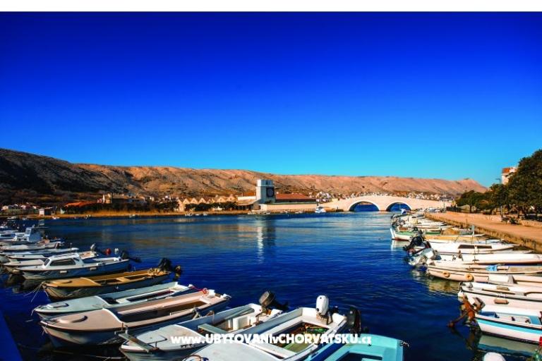 Premium Zec – foto 10