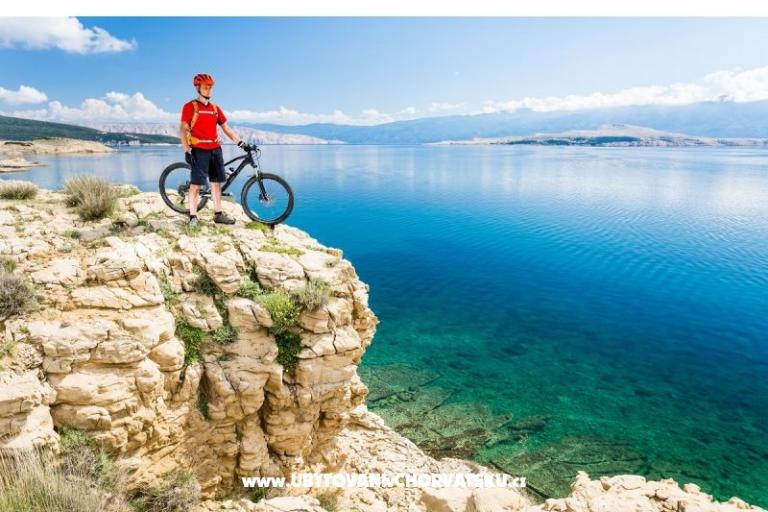 Premium Zec – foto 12