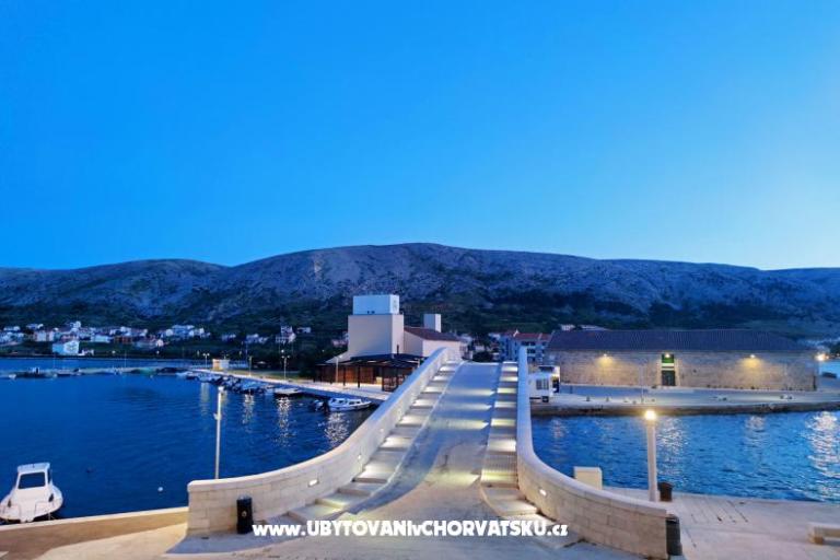 Premium Zec – foto 4