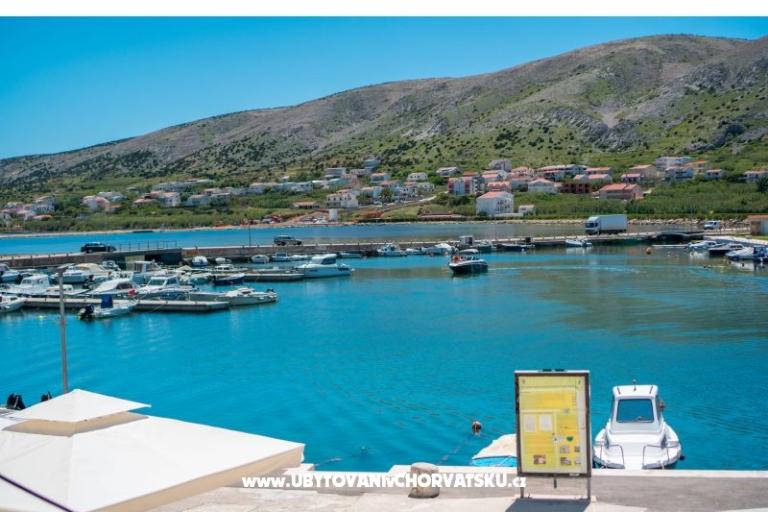 Premium Zec – foto 6