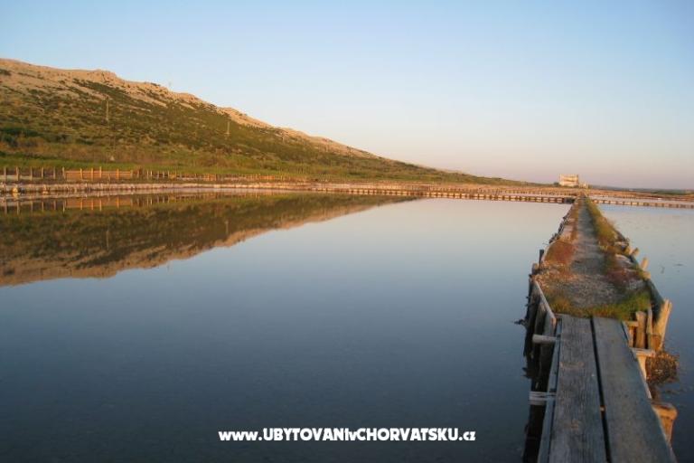 Stonehouse Dana – foto 12