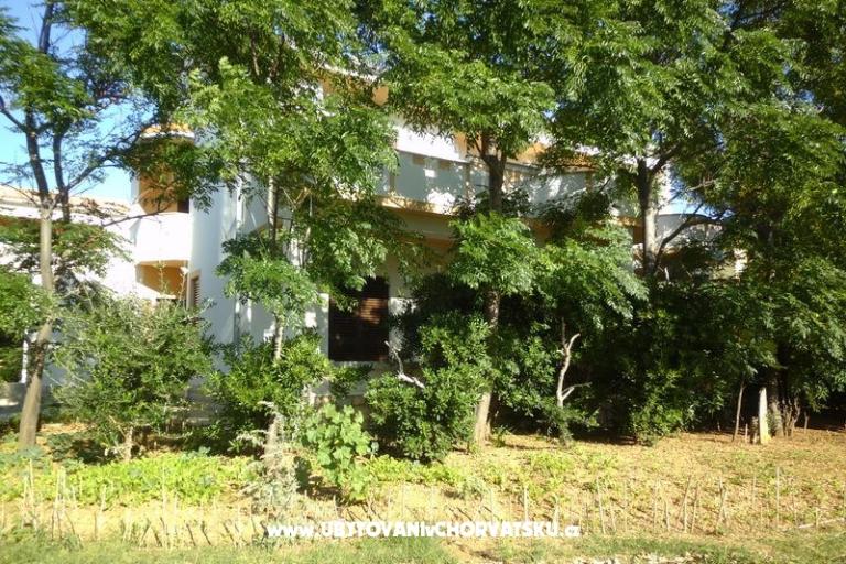 Villa Jelena – foto 11