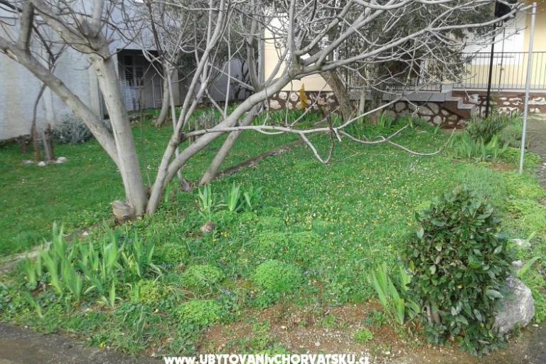 Appartement - Huis  Milka – foto 4