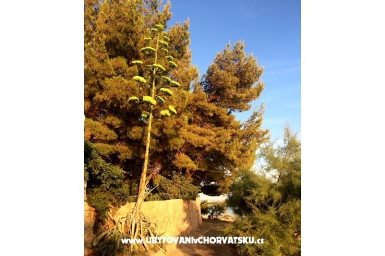 Appartementen Marin – foto 16