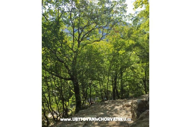 Appartementen Luka &amp; Lea – foto 16