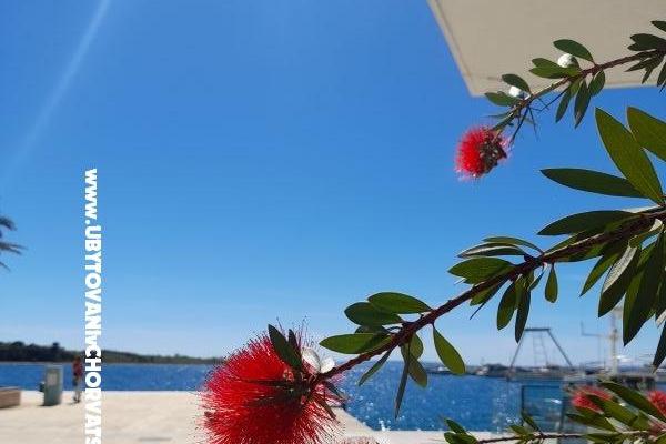 Appartementen Tomic – foto 10