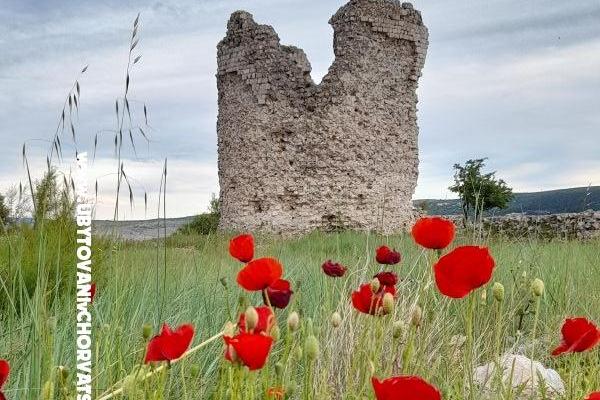 Appartementen Tomic – foto 11