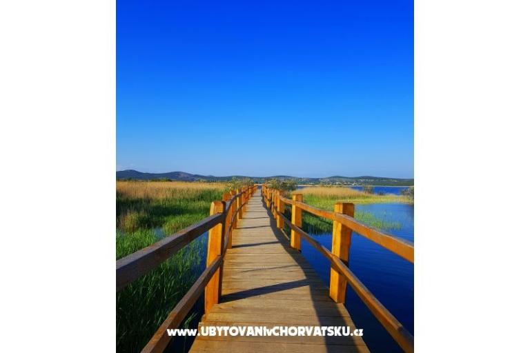 Appartementen Tomic – foto 14