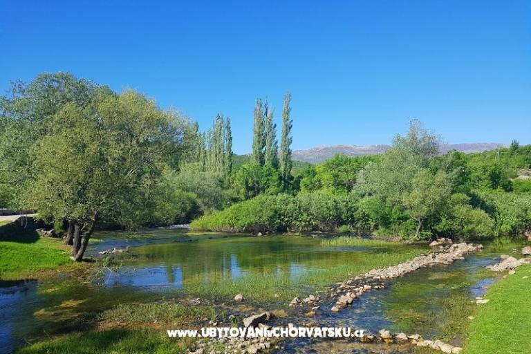 Appartementen Tomic – foto 3