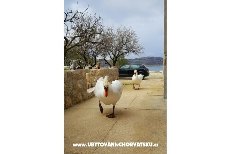 Appartementen Tomic – foto 4