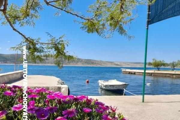 Appartementen Tomic – foto 8