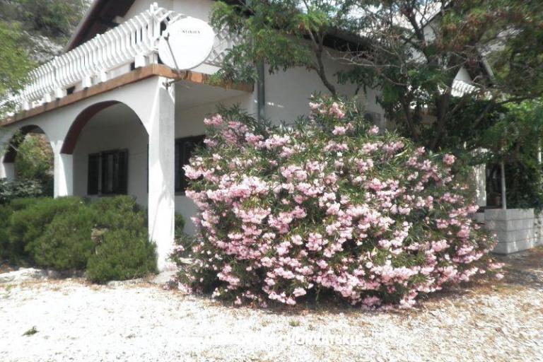 Vakantiehuis Beli – foto 2