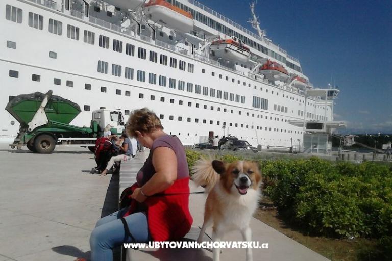 Aurora Appartementen – foto 11