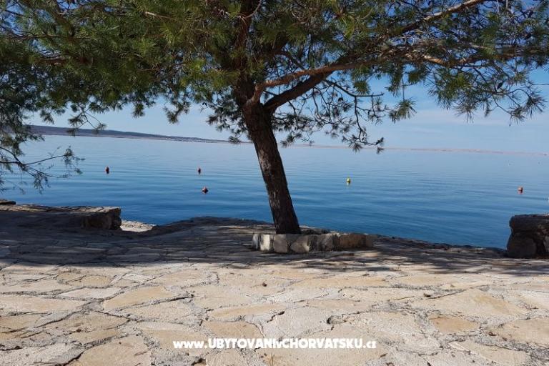 Appartementen Bosi i Goli – foto 15