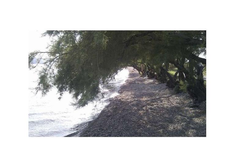 Vila Seline – foto 8