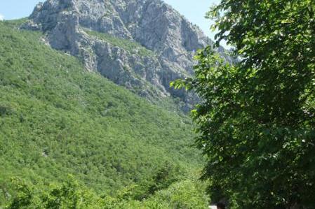 Villa Mirta – foto 13