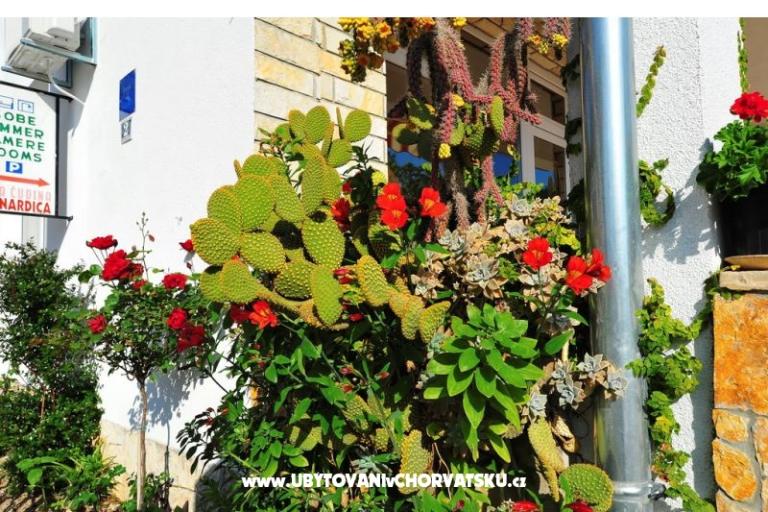 Appartementen Bernardica – foto 10