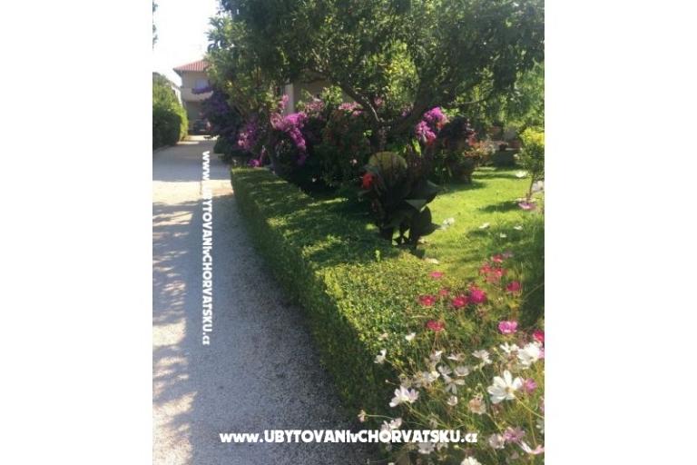 Appartementen Jasa  – foto 10