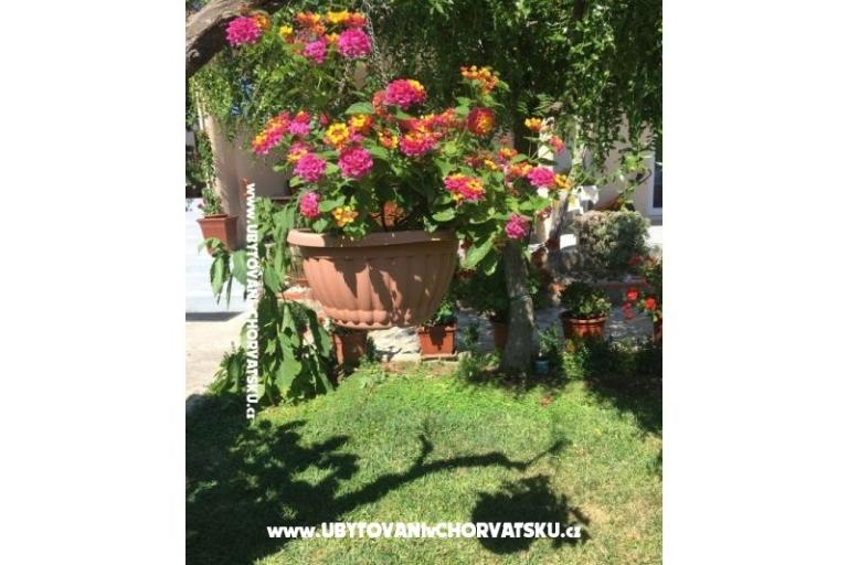 Appartementen Jasa  – foto 15