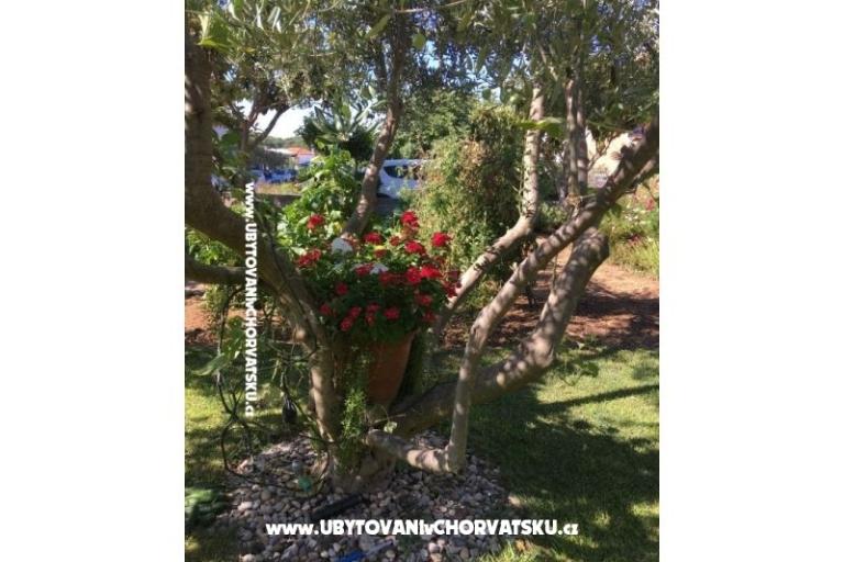 Appartementen Jasa  – foto 16