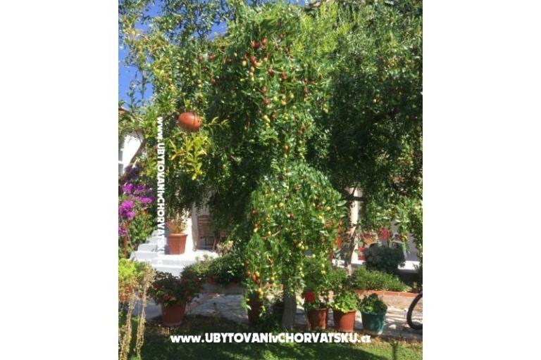 Appartementen Jasa  – foto 7