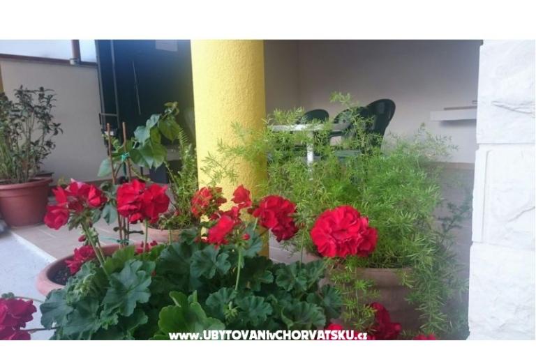 Appartementen Lucija – foto 6