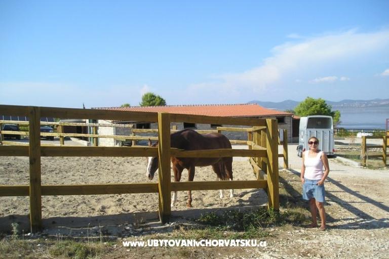 Appartementen Mario – foto 18